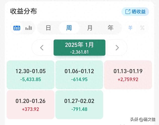 2025年1月理财总结