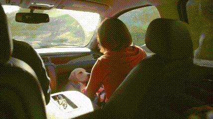 一个特殊职业，你肯定不了解