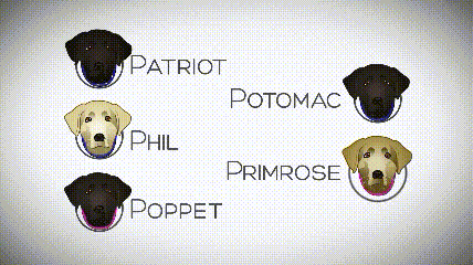 一个特殊职业，你肯定不了解