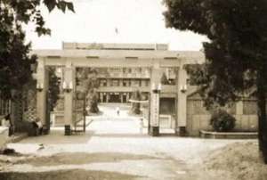 杨思梅(匆匆那些年：暗恋学姐多年，95年毕业后我为娶她向单位请假)