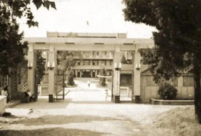 匆匆那些年：暗恋学姐多年，95年毕业后我为娶她向单位请假