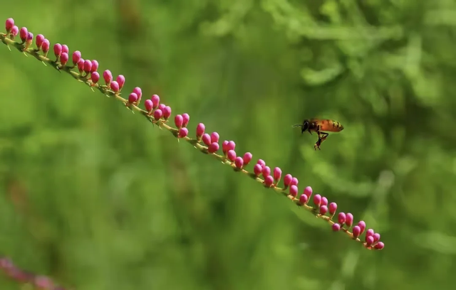 一缕夜色·满怀激情