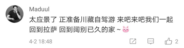 好听！这些歌，就是踏青路上的听觉盛宴