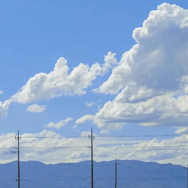 【微小说】姐夫和小姨子