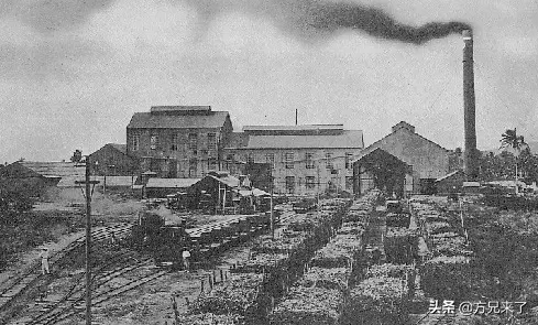 日本一女子被困孤岛，遭32名男子侵犯，真实而恐怖的安纳塔汉事件