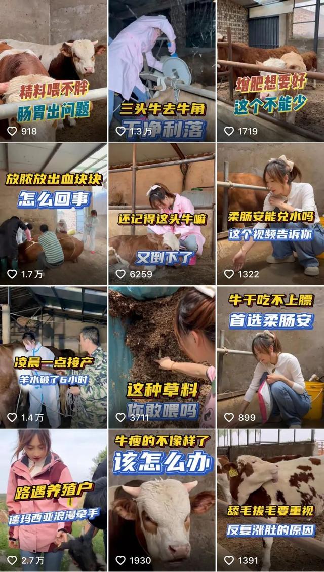 实用+有趣，看得真过瘾！他们凭实力俘获万千网友！