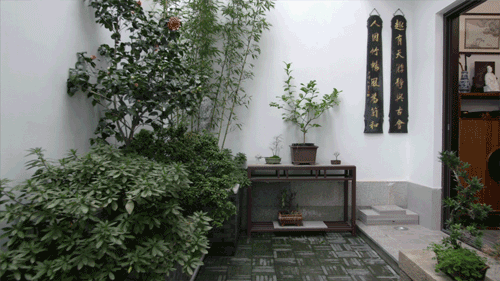 苏州教授一个人住200m²，每天琴棋书画，网友：也太会宅了