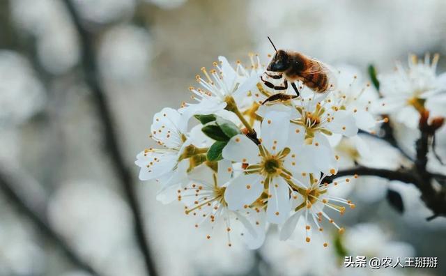 越是高的圈子 越是人捧人，越是低的圈子 越是人踩人