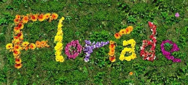 Floriade, 花都开好了