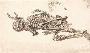 世界25大悬谜：沙滩现数十亿不明生物