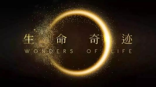 当生命遭遇罕见疾病:“进行性肌营养不良症”患者D君的坚毅人生