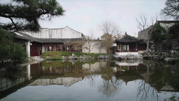 苏州教授一个人住200m²，每天琴棋书画，网友：也太会宅了