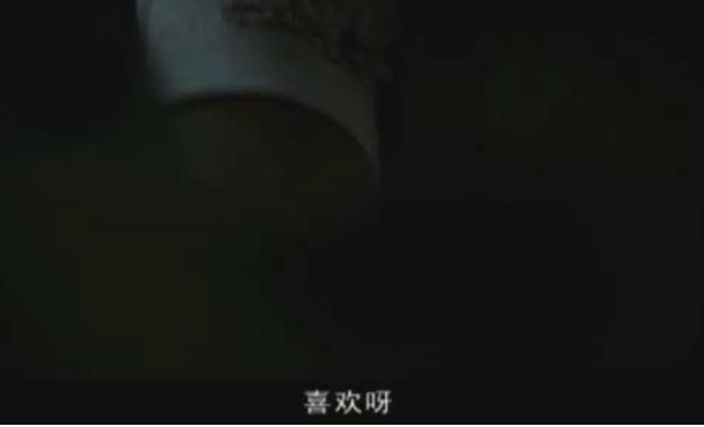 《五星大饭店》，潘玉龙金志爱的爱情