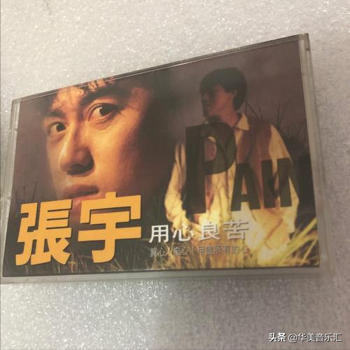 天王刘德华的歌，几代人心中的回忆，你都听过哪些歌曲呢？（2）