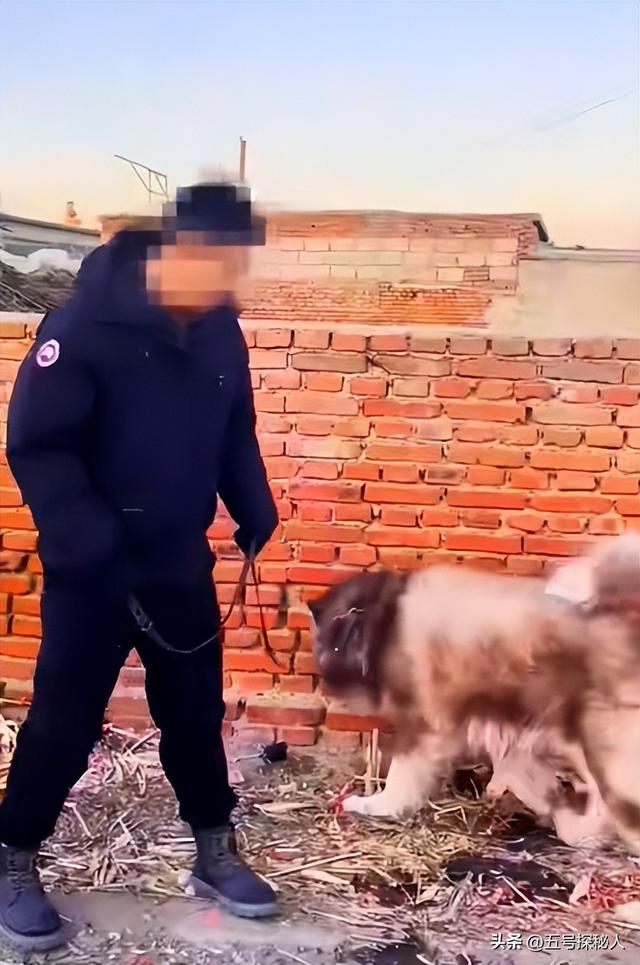 后续！潘宏网红狗艾特洗澡死亡：直播回放流出，拼命挣扎被无视