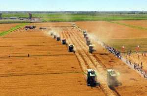 出胜(河套新传奇)