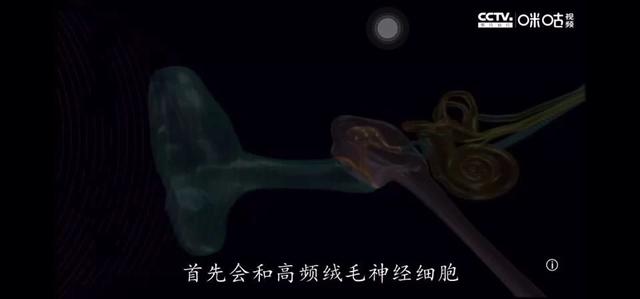 Yanny还是Laurel?一个单词判断你是否年轻,这两天大家吵翻了……