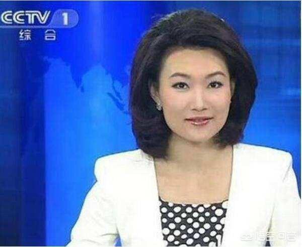 你认为中国最美的十位女主持人都有谁?