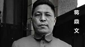 蒋鼎文(1943年蒋鼎文密报蒋介石：共军有三大派系，兵权多由绿林系掌握)