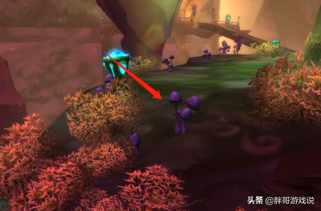 魔兽TBC:幽暗沼泽直接尾王新方法,小德傍身技,卖CD一天上千金