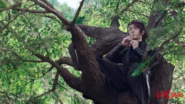 小邱鉴剧|初评《有翡》:剧情略显寡淡,尬吹王一博演技倒也不必