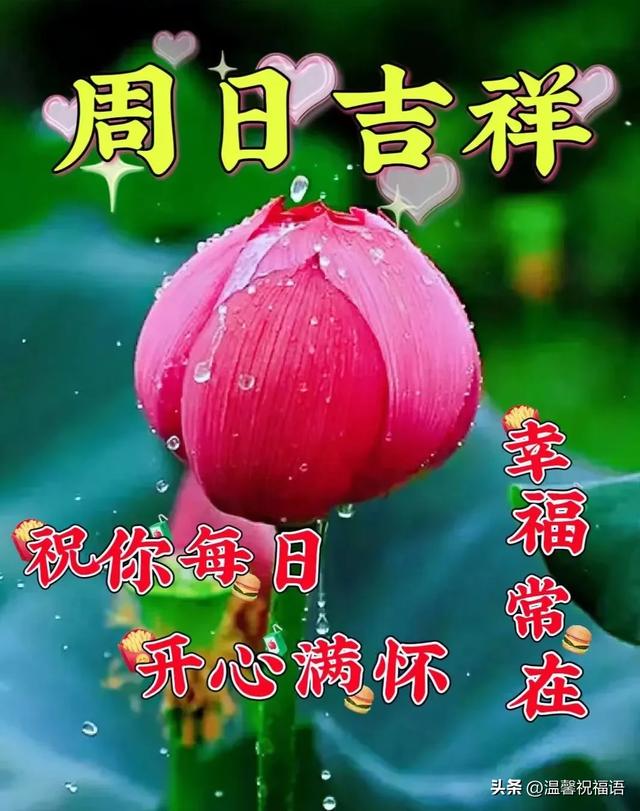 周日早安！群发温馨的早上好问候语创意图片带字，暖心的祝福大全