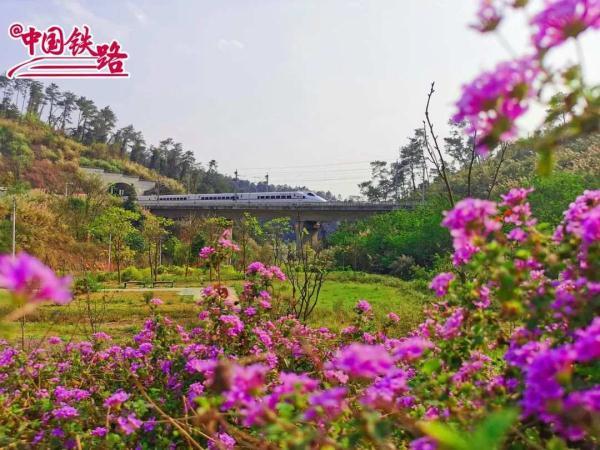 夏日限定火车风景，是浪漫的味道