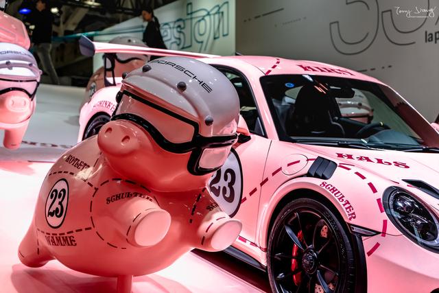 图虫人文摄影:粉红猪