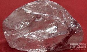 世界25大悬谜：沙滩现数十亿不明生物