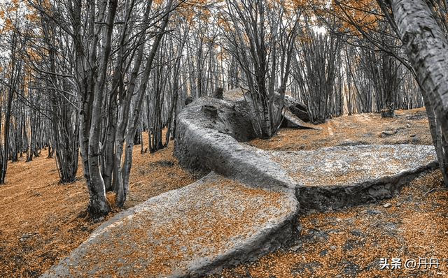 【晚清风情录】老照片中的花楼女子丰乳肥臀，30张尽显绝代风姿