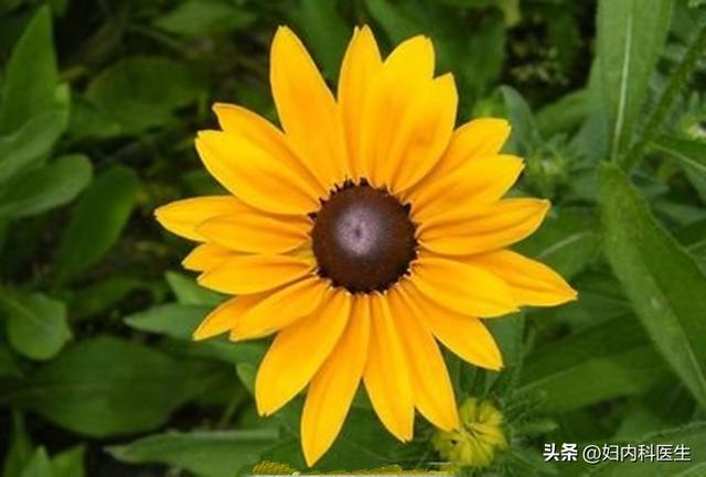 菊花门瘙痒提示是什么病,您可知道?