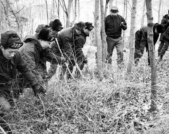 1991年韩国5名少年失踪，11年后发现尸体被叠罗汉，上压一块巨石