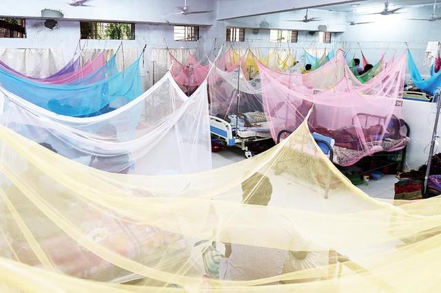 登革热疫情肆虐东南亚