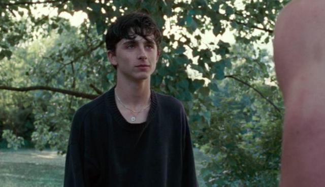 再看《请以你的名字呼唤我》，只想简单地称它为爱情片