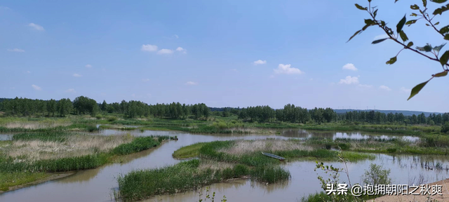 蒋大为和他演唱的那首令人泪目的《北国之春》