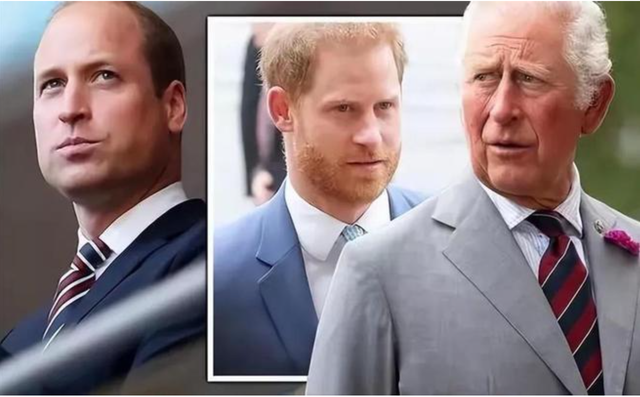 同室操戈！威廉力推堂亲上位，哈里还剩几张底牌？