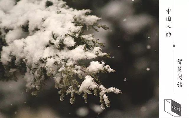 这碗200多年前熬成的“毒鸡汤”，今天依然“药劲儿”十足！