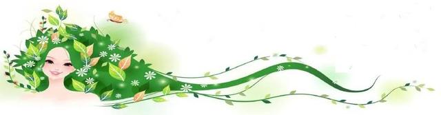 巾帼风采：最美贤内助—禹州市豫剧团王会琴