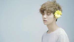 刘壮实(鹿晗真的叫刘壮实？盘点被我们误解的明星名字)