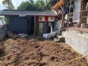 击杀(凌晨黑熊闯入四川一村民家中重伤女主人，男主人持斧击杀)