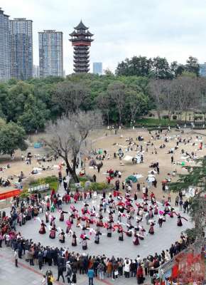 舞舞舞(C视频｜成都街头百人同跳弦子舞)