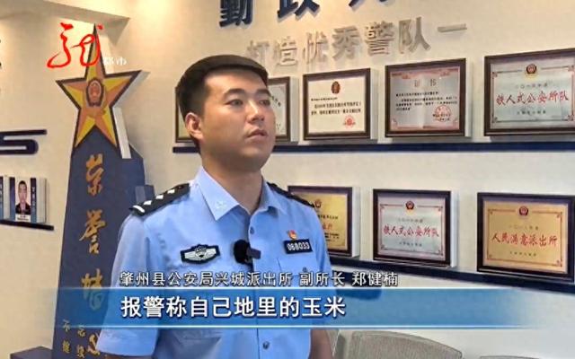 两男一女被抓！并交代苞米地里还有5人……