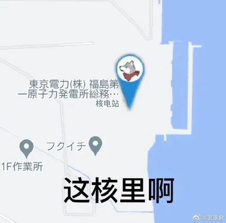 日本还要为排污诡辩吗？福岛鱼亲自下海打脸了