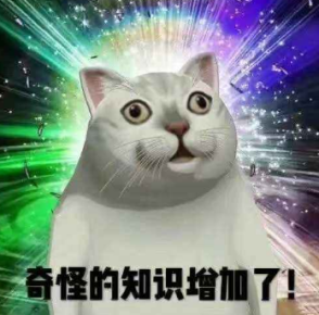 孩子们的神级“聊天密语”,看了才会聊天