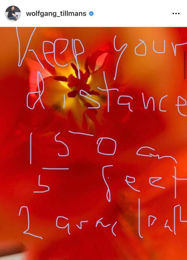 疫情无法隔离春天:霍克尼的水仙与提香的《圣殇》