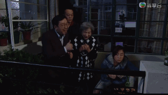 今天得跪一次香港头号绿叶