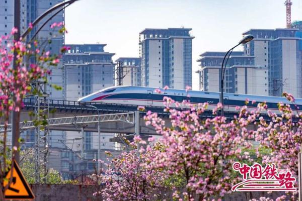 夏日限定火车风景，是浪漫的味道