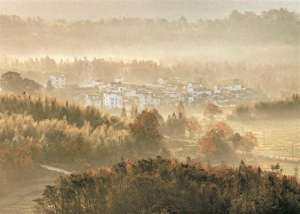杨雨晨(花地·大学文苑｜杨雨晨：最好的人生在书中)