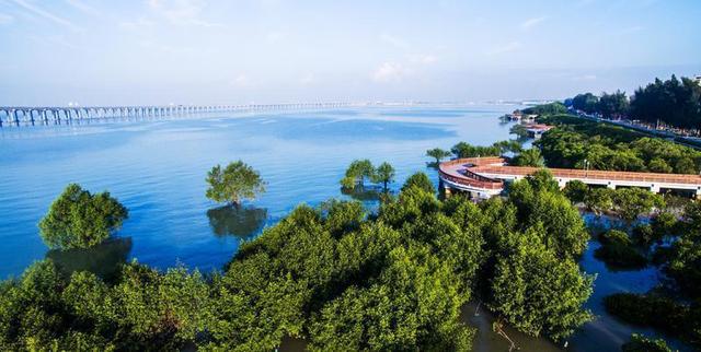 “撤镇设街”二十载 “再造一个新西乡”