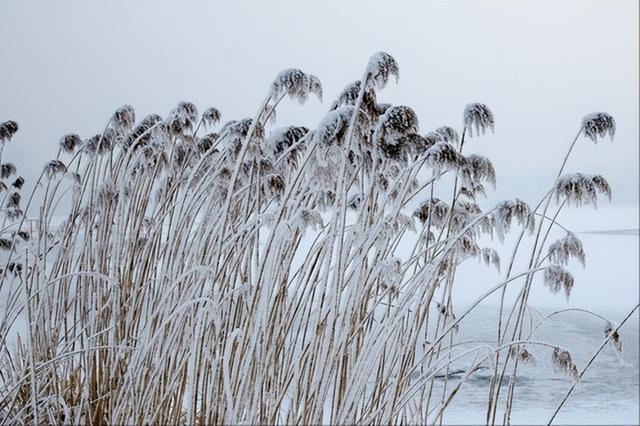 “发不发，就看十月十八”，明日十月十八啥日子？有何讲究说法？